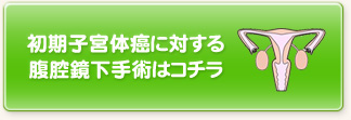 初期子宮体癌に対する腹腔鏡下手術はコチラ