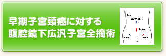 早期子宮頸癌に対する腹腔鏡下広汎子宮全摘術