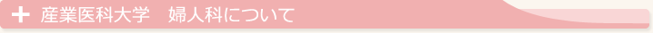 産業医科大学　婦人科について