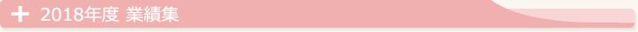 2018年度業績集