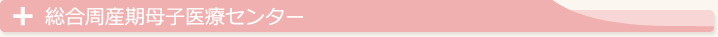 総合周産期母子医療センター