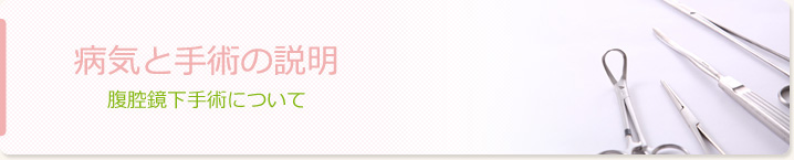 病気と手術の説明　腹腔鏡下手術について