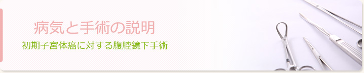 病気と手術の説明　初期子宮体癌に対する腹腔鏡下手術