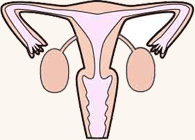 1.傷が小さく痛みが軽い　2.入院期間が短縮できる　3.術後癒着が少なくなる　4.出血量が少なくなる