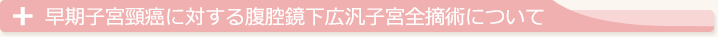 早期子宮頸癌に対する腹腔鏡下広汎子宮全摘術について