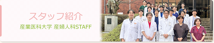 スタッフ紹介　産業医科大学　産婦人科STAFF