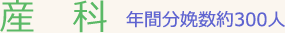 産科 年間分娩数約300人